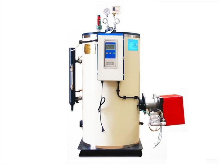 Induktionsdampgenerator