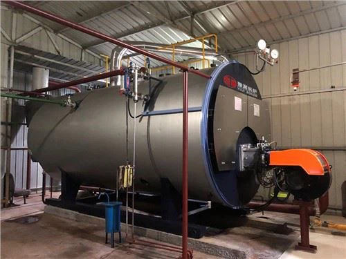 Wns Industrial Use Natural Gas Lpg Fired Steam Boiler